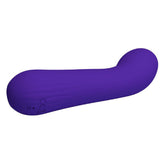 Faun Rechargeable Purple Silicone G-Spot Vibrator for Adults Vibrators - G Spot